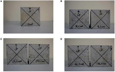 The Influence of a Lattice-Like Pattern of Inclusions on the Attenuation Properties of Metaconcrete